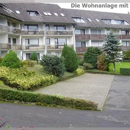Harz Eulennestchen S1 Altenau (Lower-Saxony)