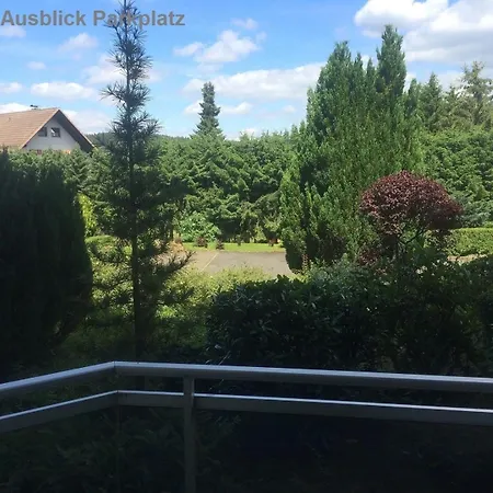 Harz Eulennestchen S1 Altenau (Lower-Saxony)