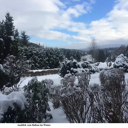 Apartmán Harz Eulennestchen S1 *