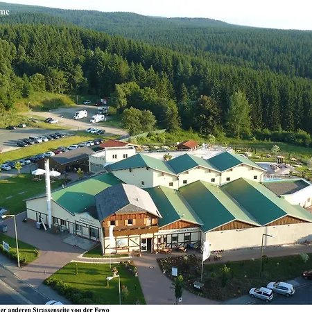 Harz Eulennestchen S1 * Altenau (Lower-Saxony)